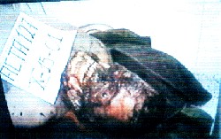 Asesinado y torurado por los terroristas de las FARC