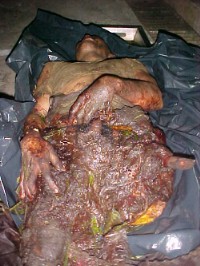 Soldado Edwar Walteros Benavides asesinado por las FARC