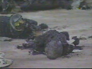 victima del terrorismo del ELN en Machuca