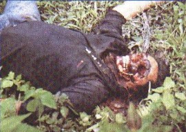 Rodrigo Piraquive asesinado por las FARC